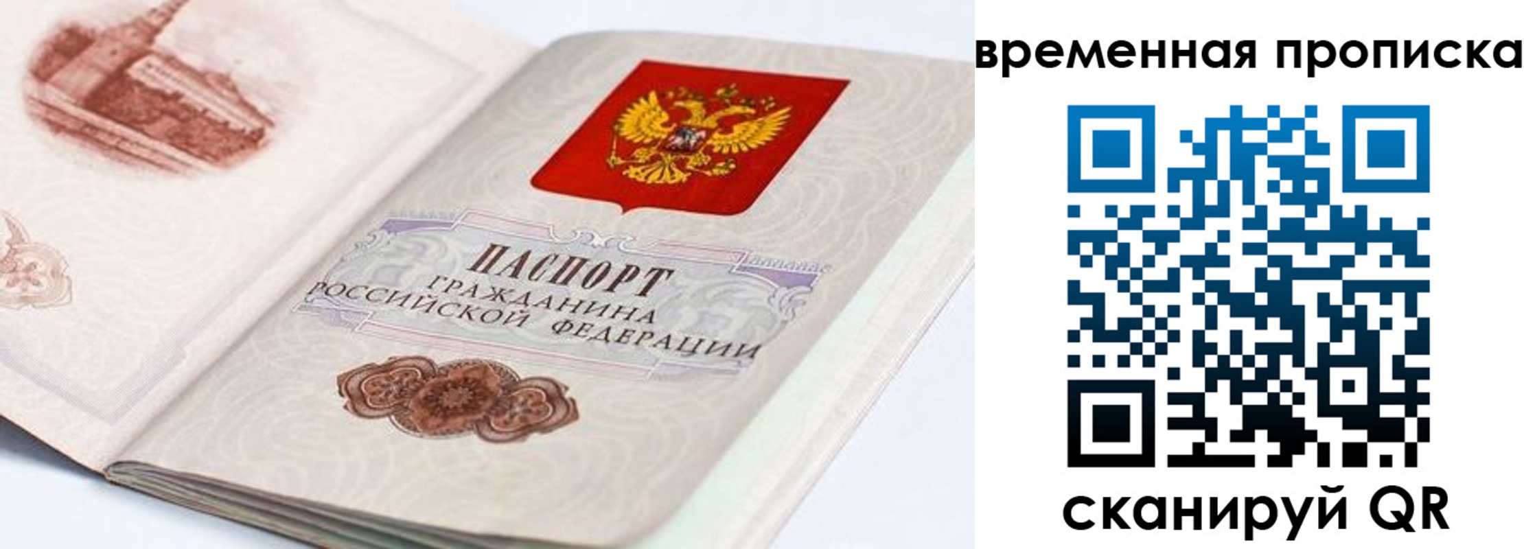 прописка 2025 в Сальске